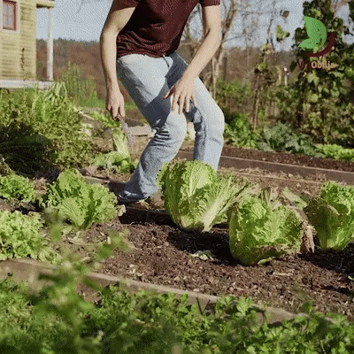 Zahradní nůž GreenForge s nerezovou čepelí a pouzdrem | Lersk