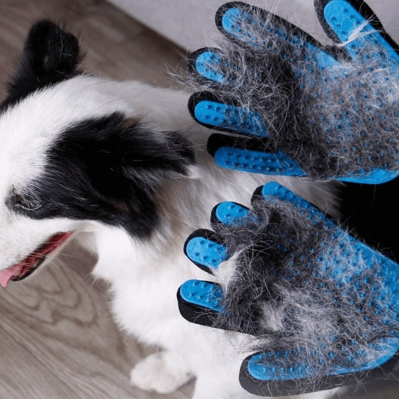PawsEase Plush Coat Glove Brush for Pets Gentle Brushing | Lersk