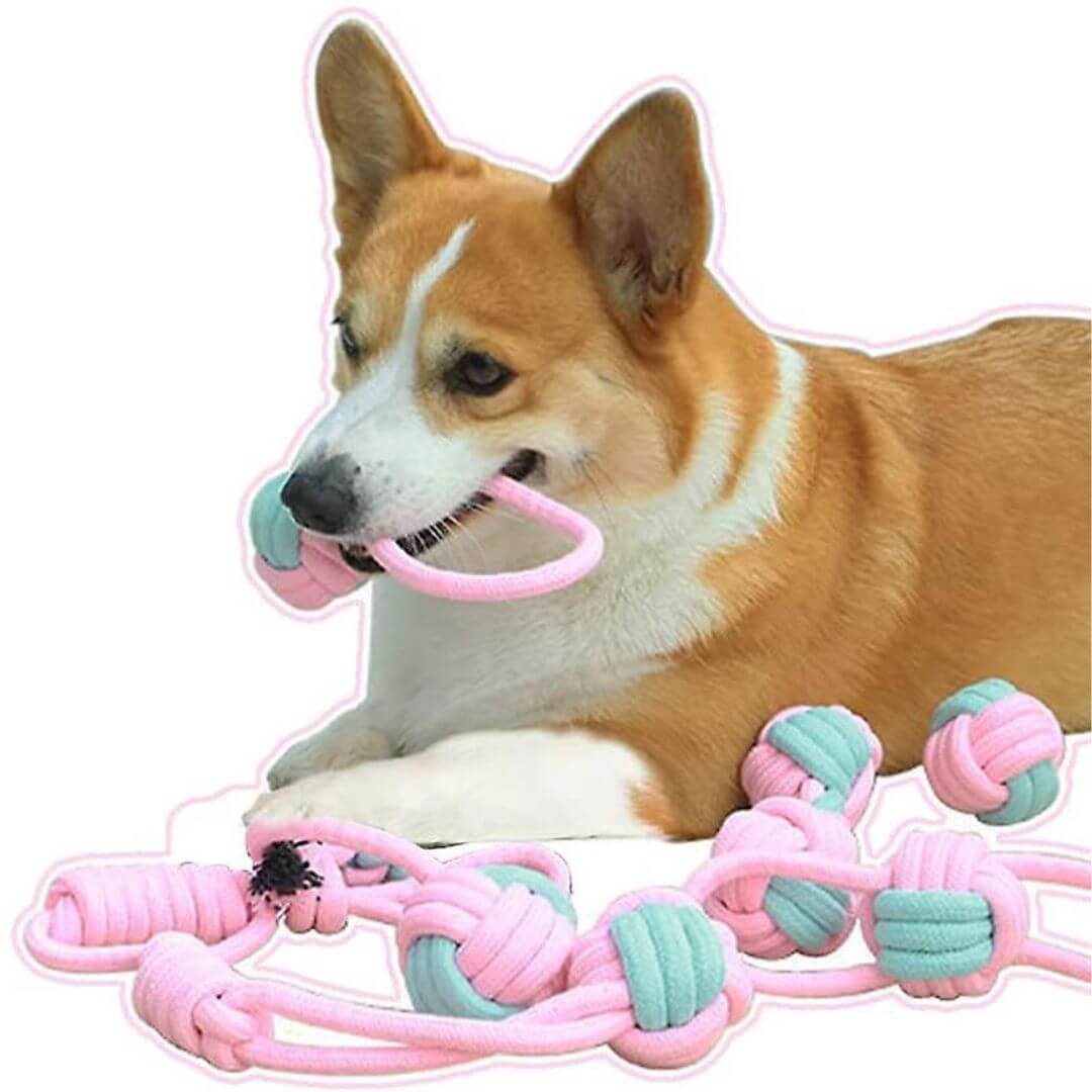 LoyalPaws Set da Sei Giochi per Cani per Denti Più Forti e Salute Orale | Lersk