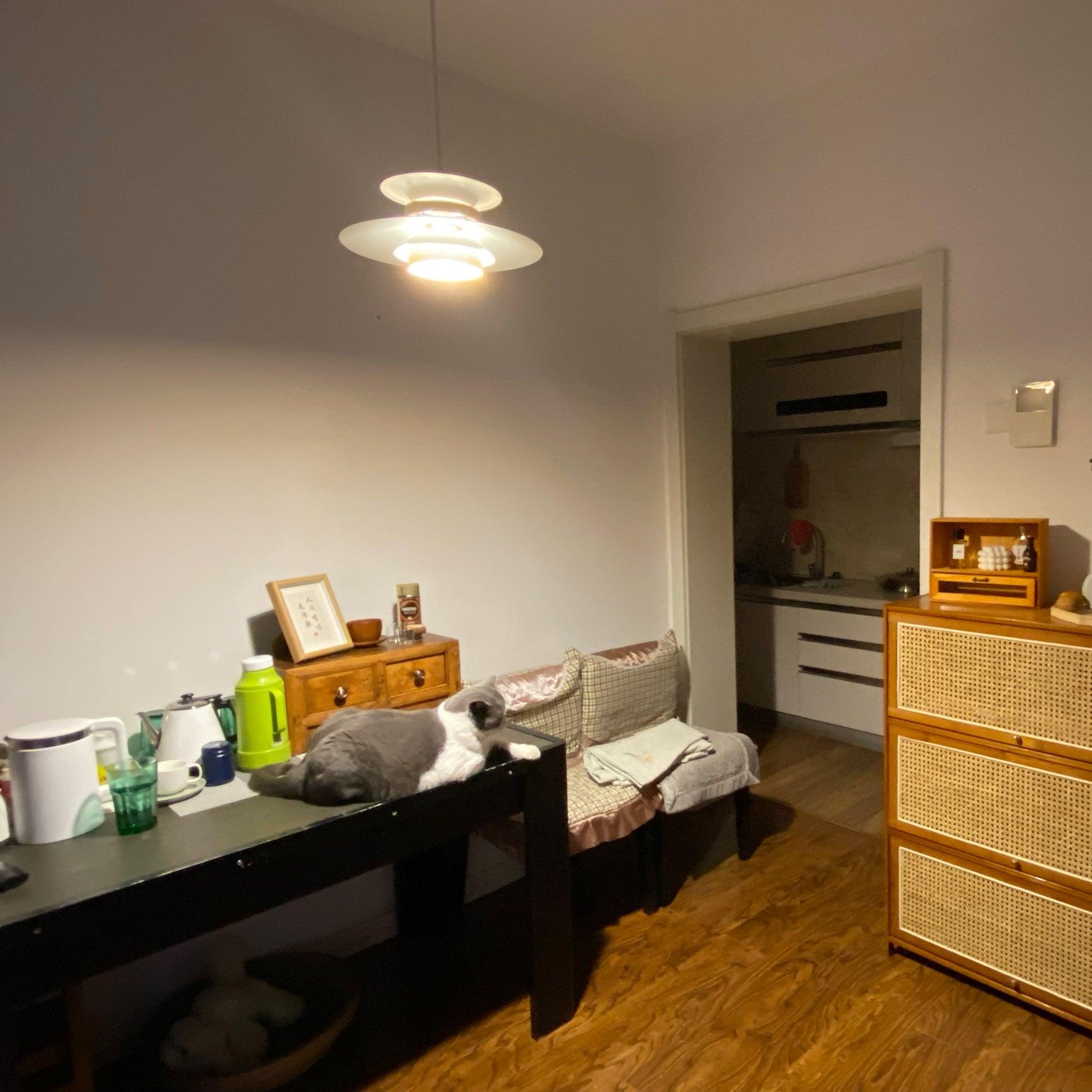 Aurellon | Elegantní závěsná lampa pro nadčasové interiéry | Lersk