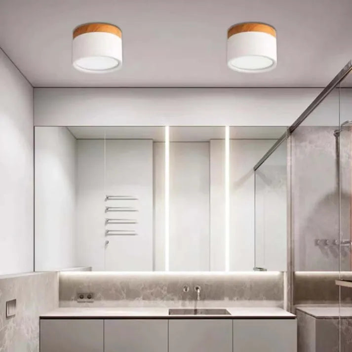 Lunara Nordic LED stropní svítidlo pro chodby a obývací pokoj | Lersk