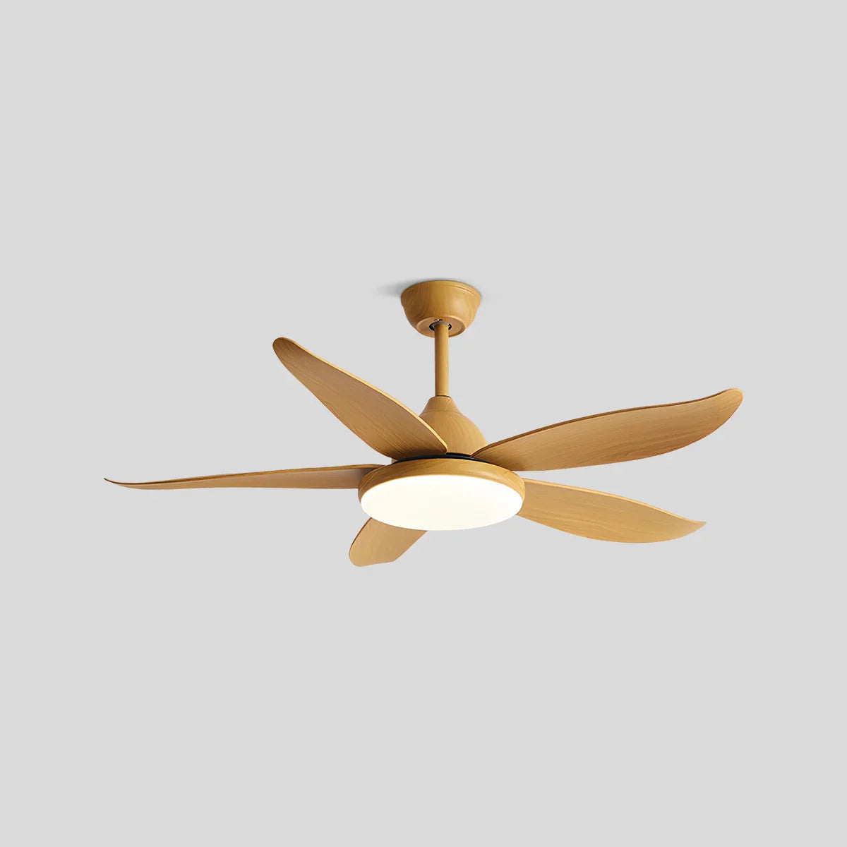 Ventilador de techo contemporáneo de 5 aspas con lámpara | Lersk