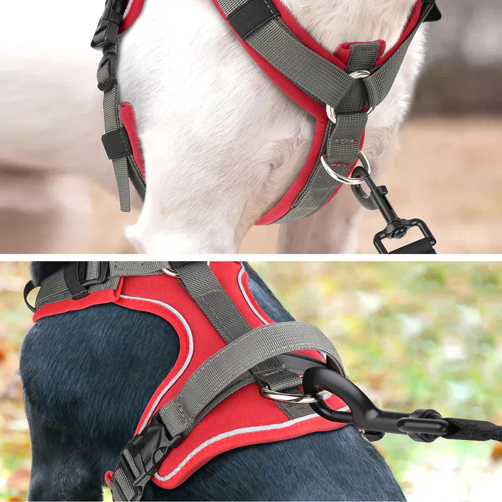 NovaPaw Agile Harness for Dogs with Reflective Handle | Lersk