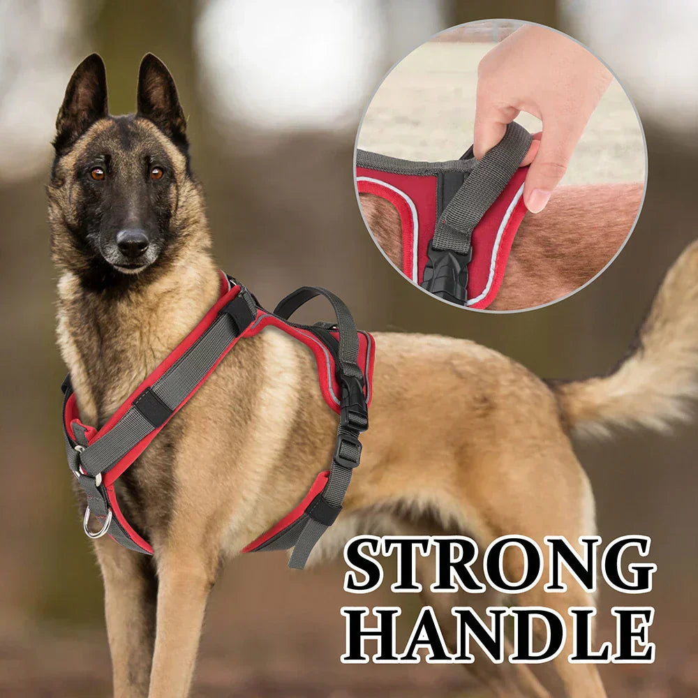 NovaPaw Agile Harness for Dogs with Reflective Handle | Lersk