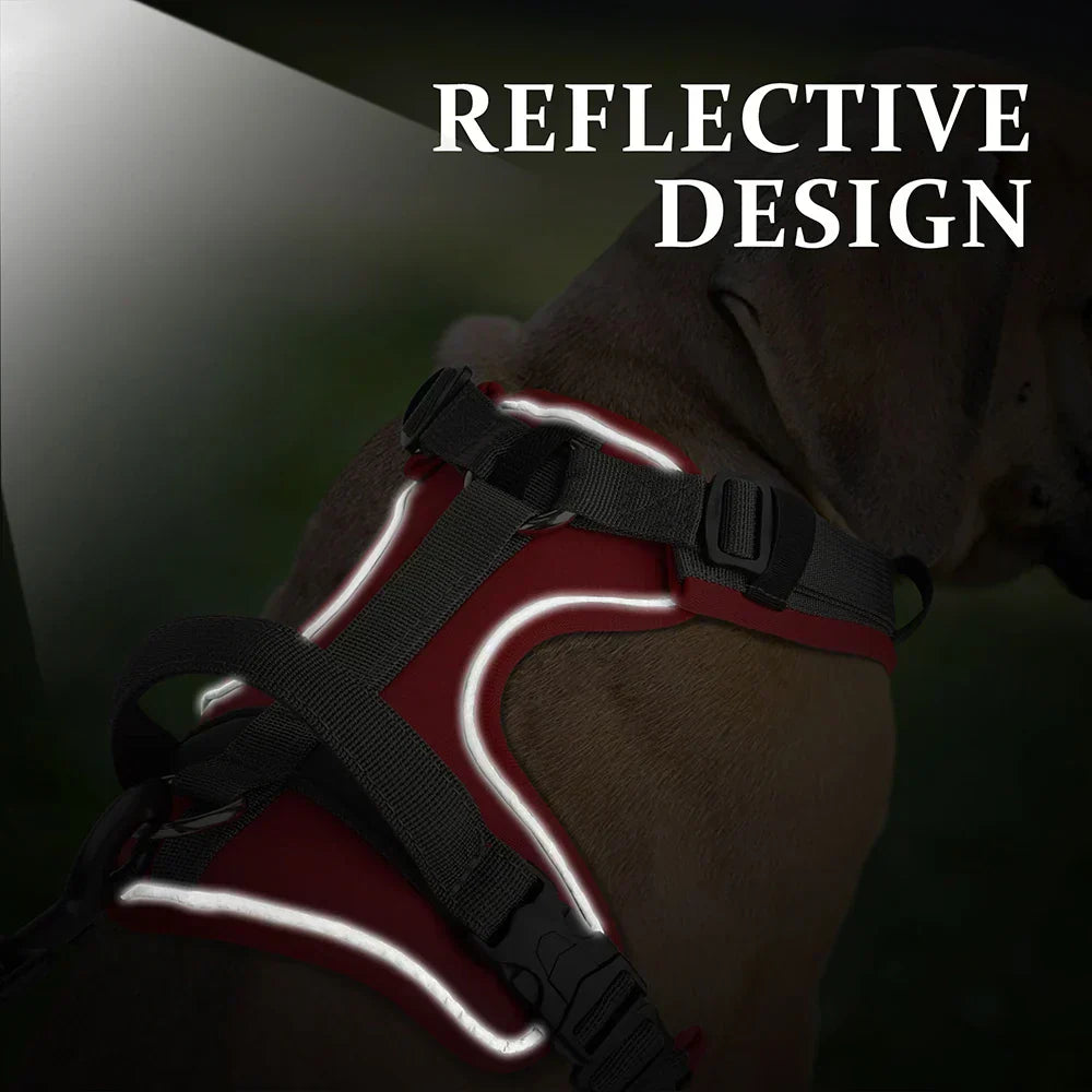 NovaPaw Agile Harness for Dogs with Reflective Handle | Lersk