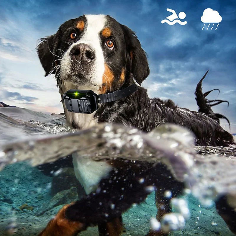 KairoPaw Remote Training Collar For Dogs 300m Range | Lersk