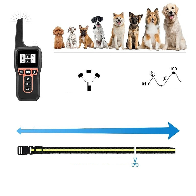 AquaStride Pro 1000m Waterproof Dog Training Collar | Lersk