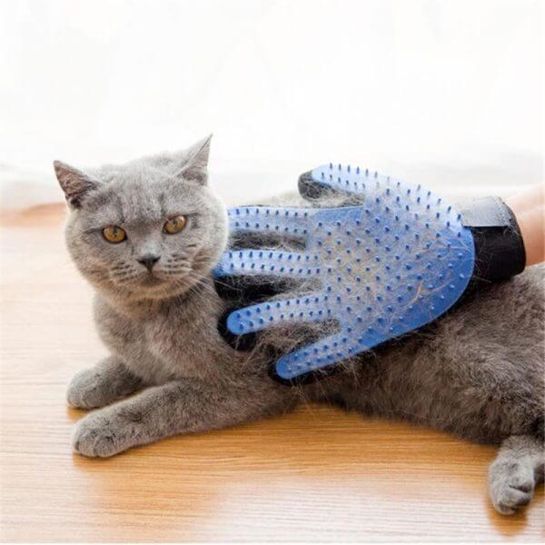 PawsEase Plush Coat Glove Brush for Pets Gentle Brushing | Lersk