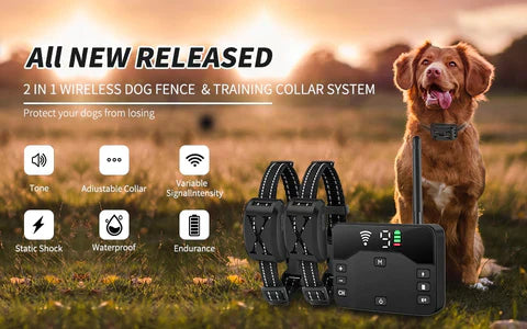 Collare Recinzione Wireless per Cani KairoGuard con Modalità di Addestramento e Ricevitore Impermeabile | Lersk
