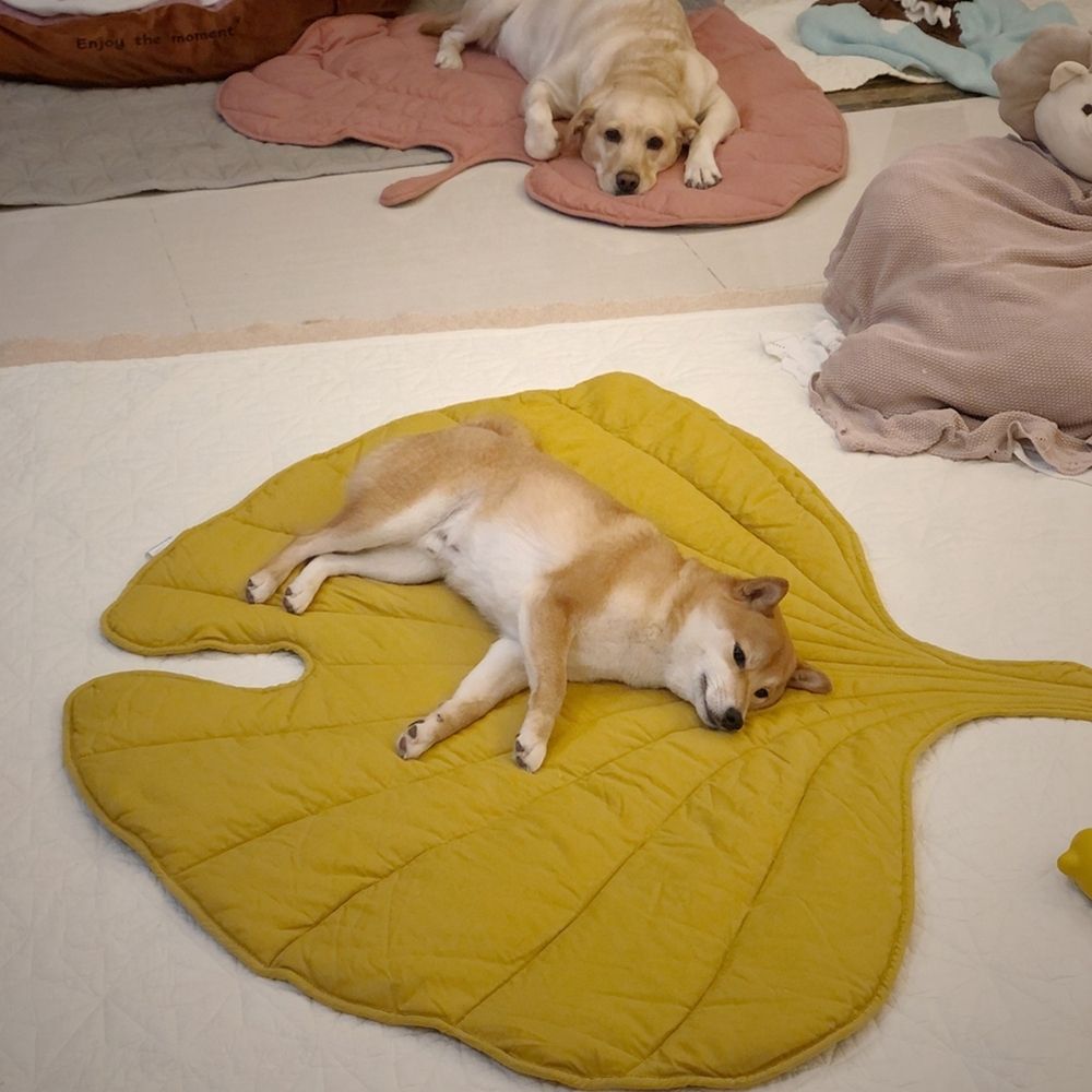 Breathable Cooling Dog Mat Keeps Pets Cool Leaf Shaped Washable | Lersk