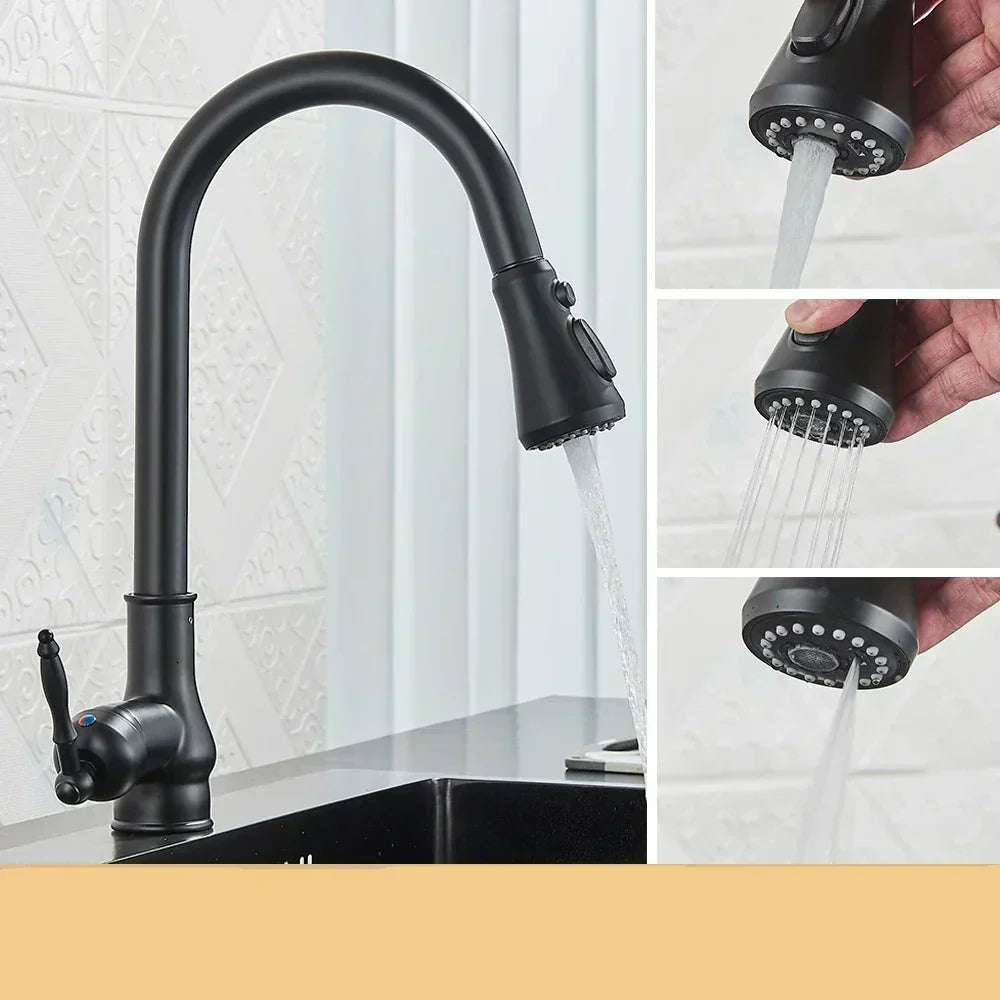 Norelle Antique Brass Swivel Kitchen Faucet With Black