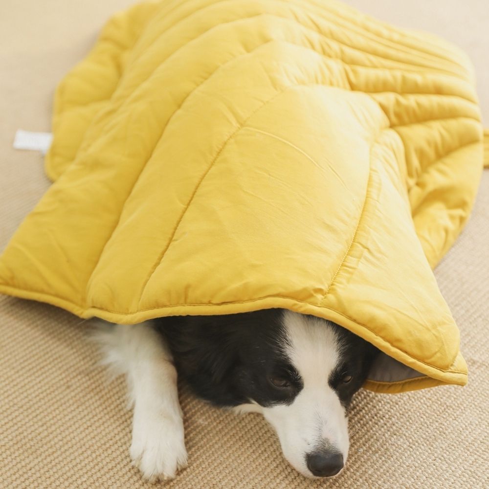 Breathable Cooling Dog Mat Keeps Pets Cool Leaf Shaped Washable | Lersk