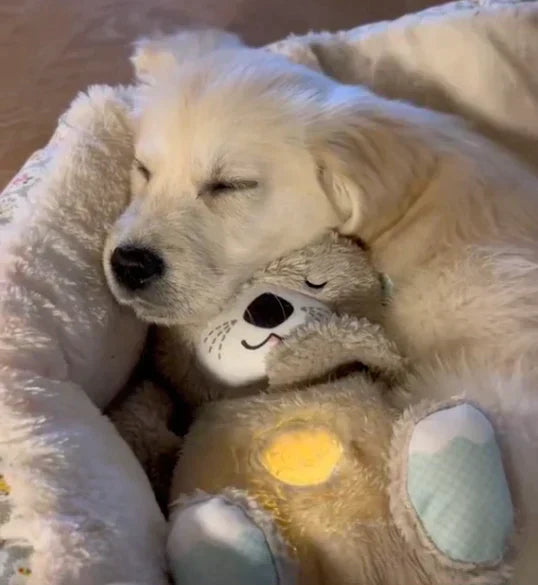 OtterEase | Calming Dog Plush Toy | Lersk