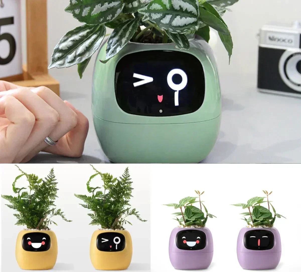 NovaVerdia Smart Planter With 49 Expressions And AI Sensors | Lersk