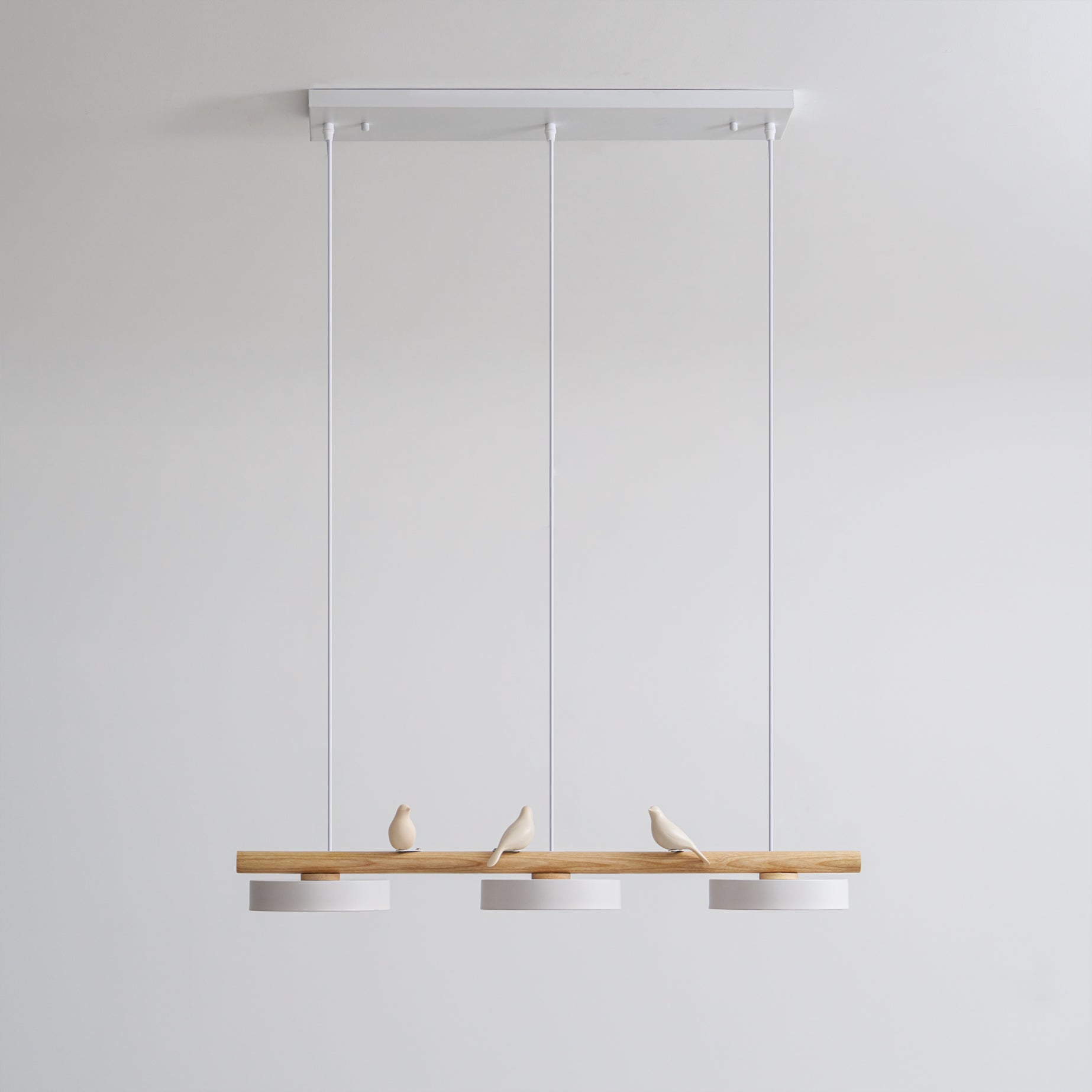 LyraNest Ptačí závěsná lampa Přírodou inspirovaná lampa do domácnosti | Lersk