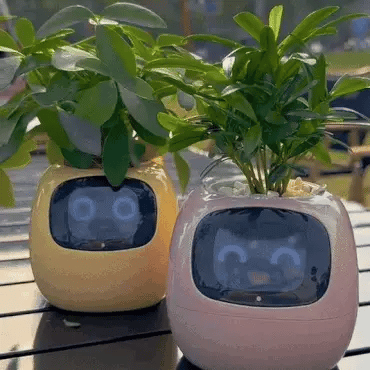 NexaGrow Smart Planter With 7 Sensors For Indoor Gardening | Lersk