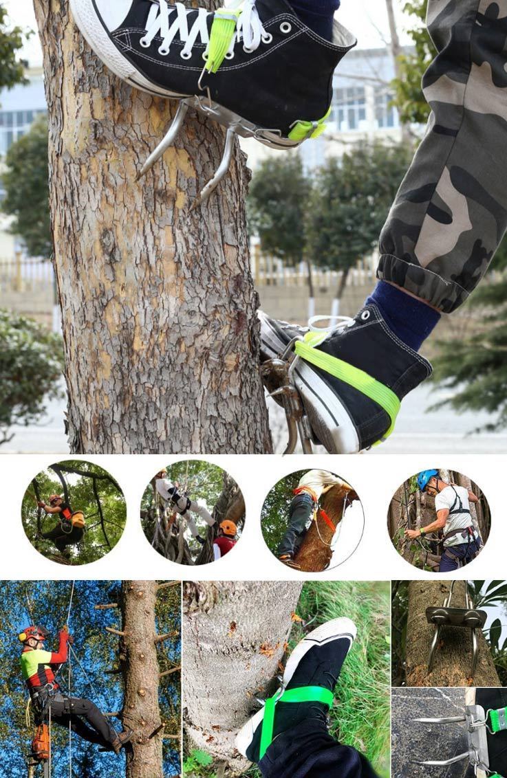 SylvaGrip 304 Picchetti in Acciaio Inox per Arrampicata su Alberi e Imbracatura | Lersk