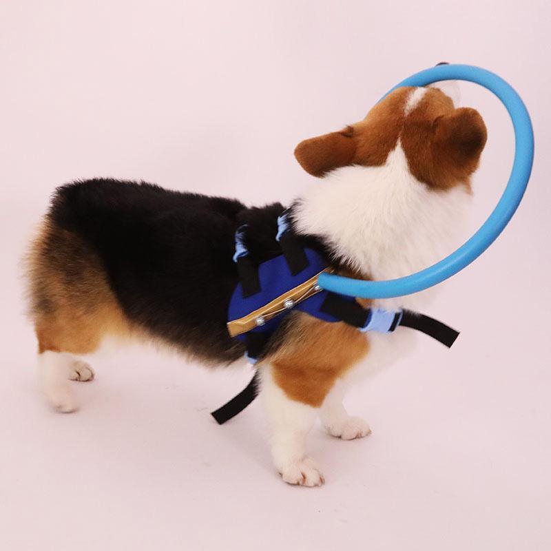 WandaPaws Guide Bumper Collar For Blind Dog Harness | Lersk