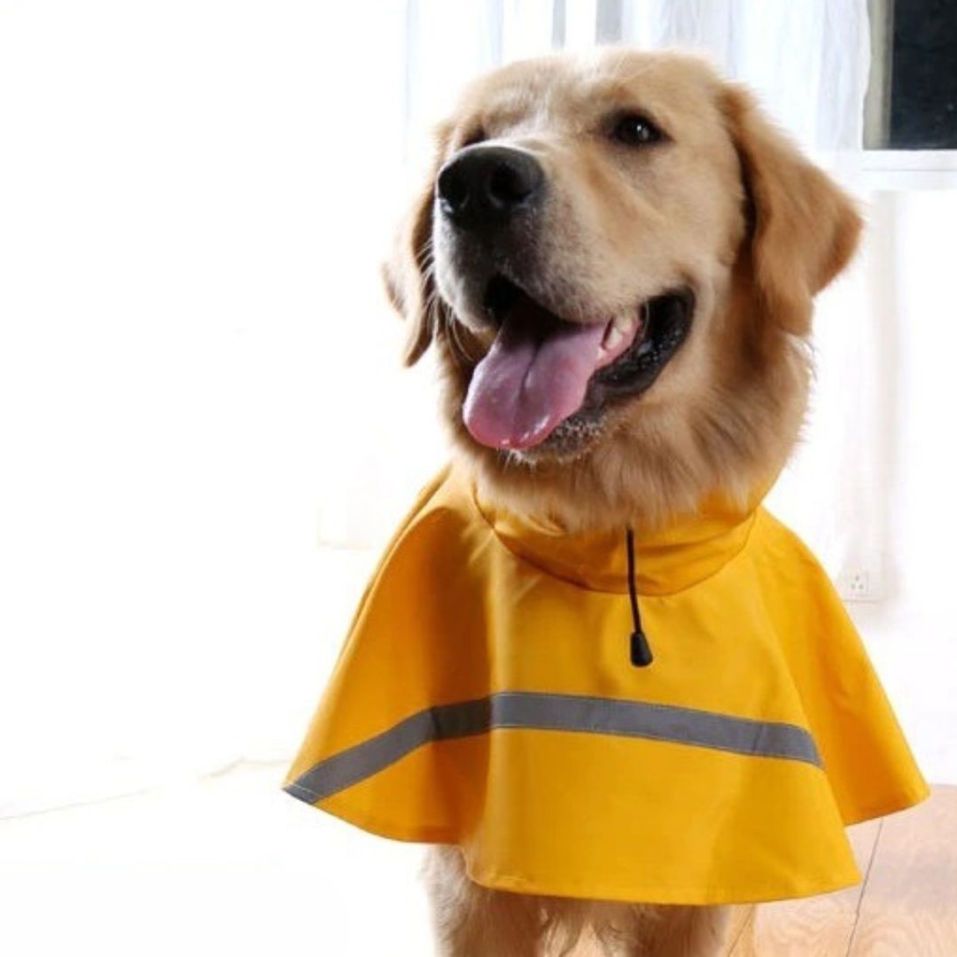 LumenPup Reflective Raincoat for Dogs in Wet Weather | Lersk