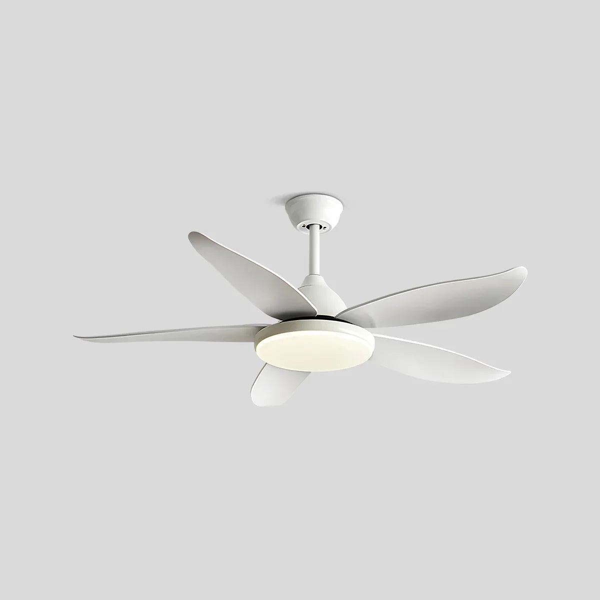 Ventilador de techo contemporáneo de 5 aspas con lámpara | Lersk