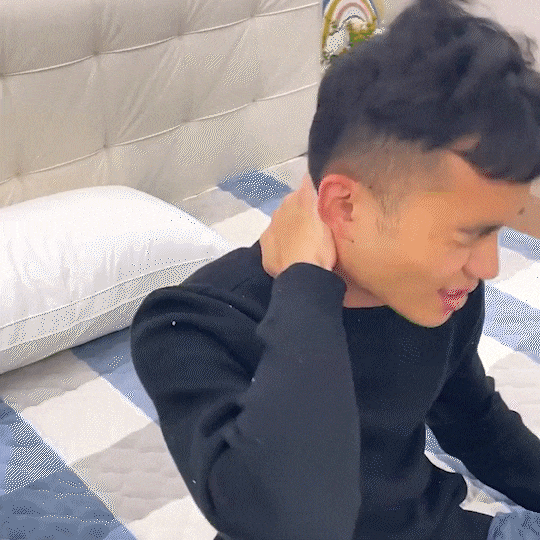 Emera Innovative Neck Pad For Pain Relief And All Sleep Positions | Lersk