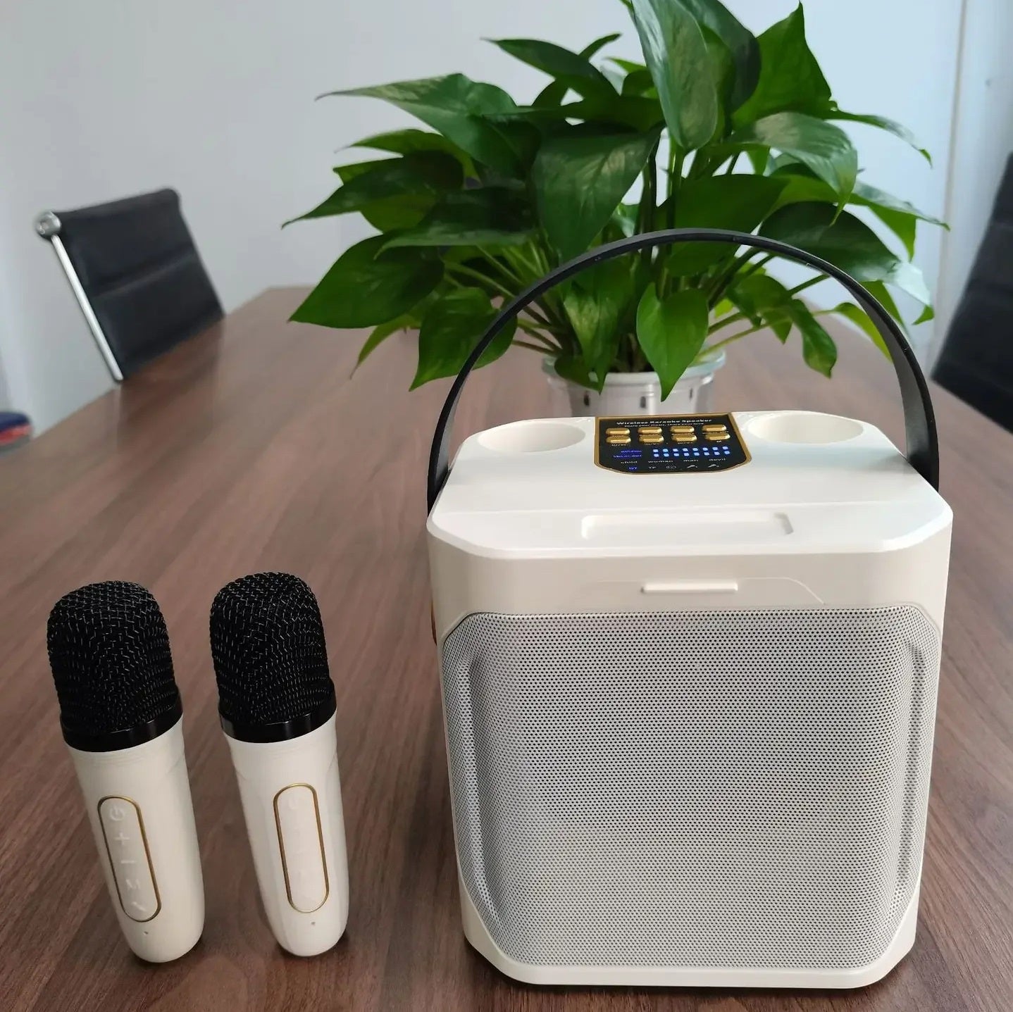 Potężny przenośny, ładowalny głośnik karaoke Bluetooth | Lersk