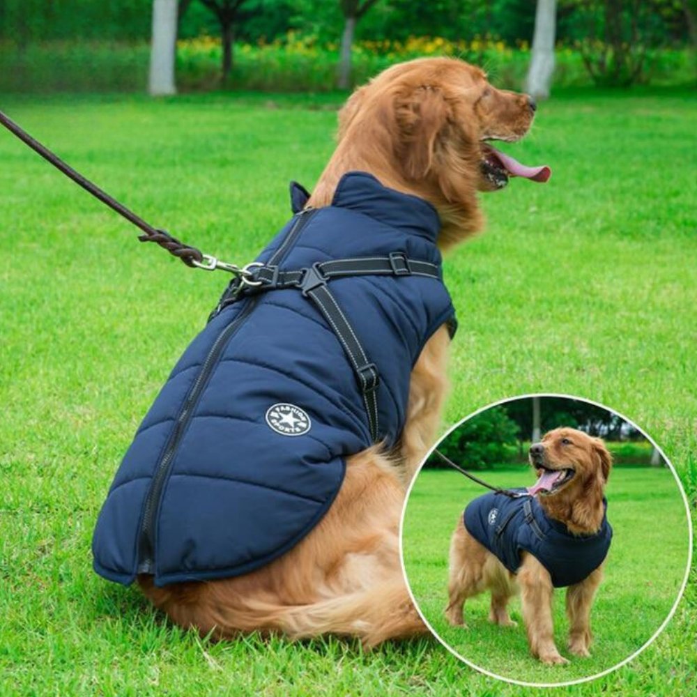 DryPaw wasserdichter Hundemantel für Regenschutz und Kälteschutz für Hunde | Lersk