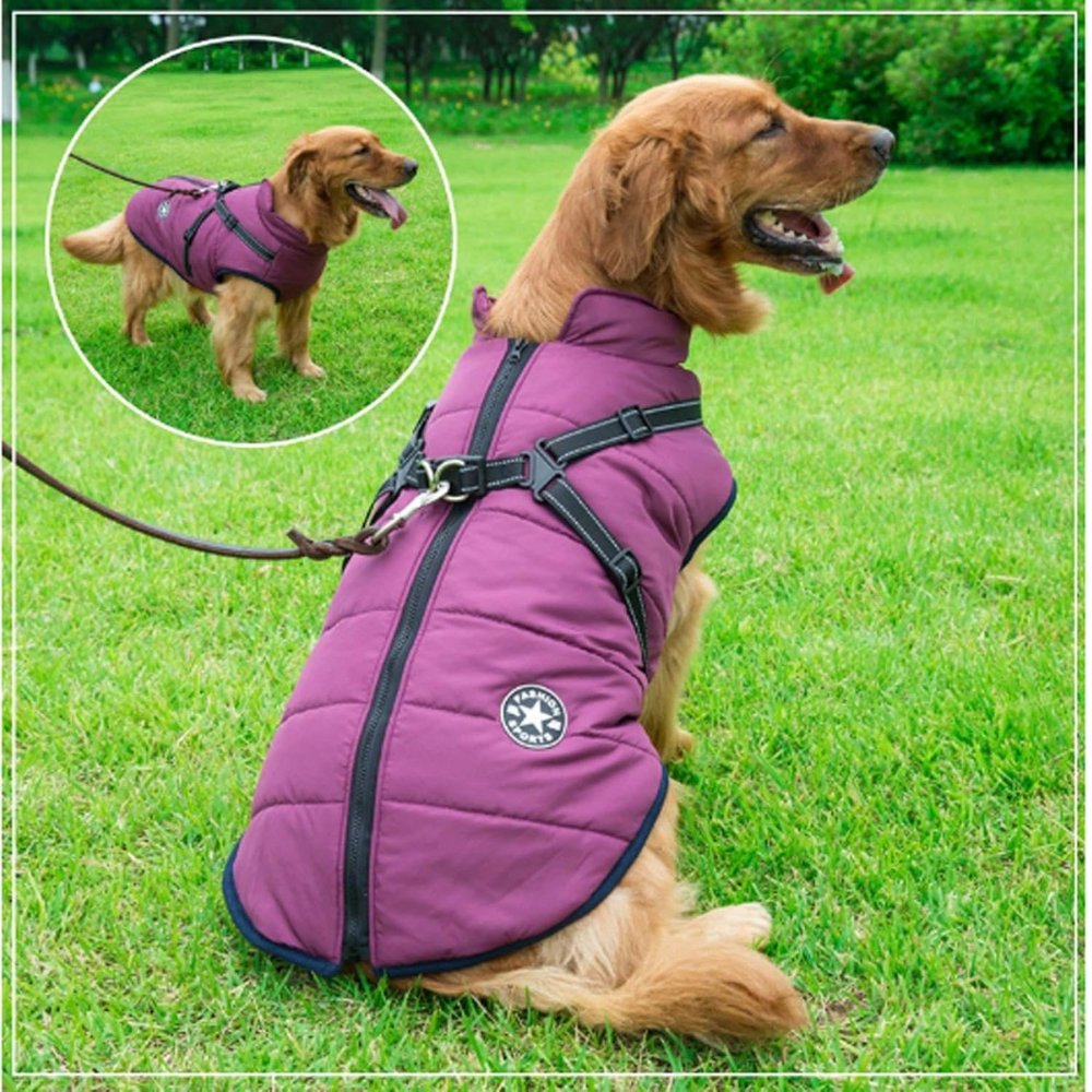DryPaw wasserdichter Hundemantel für Regenschutz und Kälteschutz für Hunde | Lersk