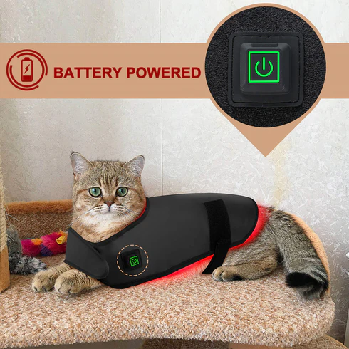 LumaCare Infrared Therapy Belt for Pets Pain Relief and Soft Tissue Support | Lersk