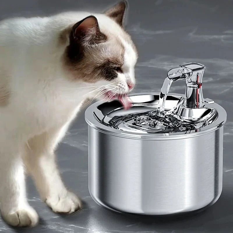 PurrFlow Smart Cat Water Fountain Stainless Steel With Filter And Auto Sensor For Cats | Lersk