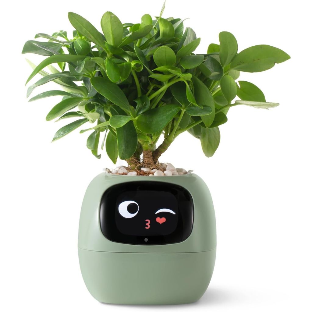 Ivy Smart Pflanzentopf mit Gestensteuerung, Pflanzenbegleiter für Pflanzenliebhaber, Alexa | Lersk