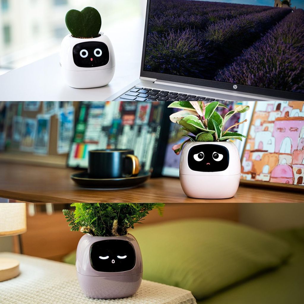 Ivy Smart Pflanzentopf mit Gestensteuerung, Pflanzenbegleiter für Pflanzenliebhaber, Alexa | Lersk