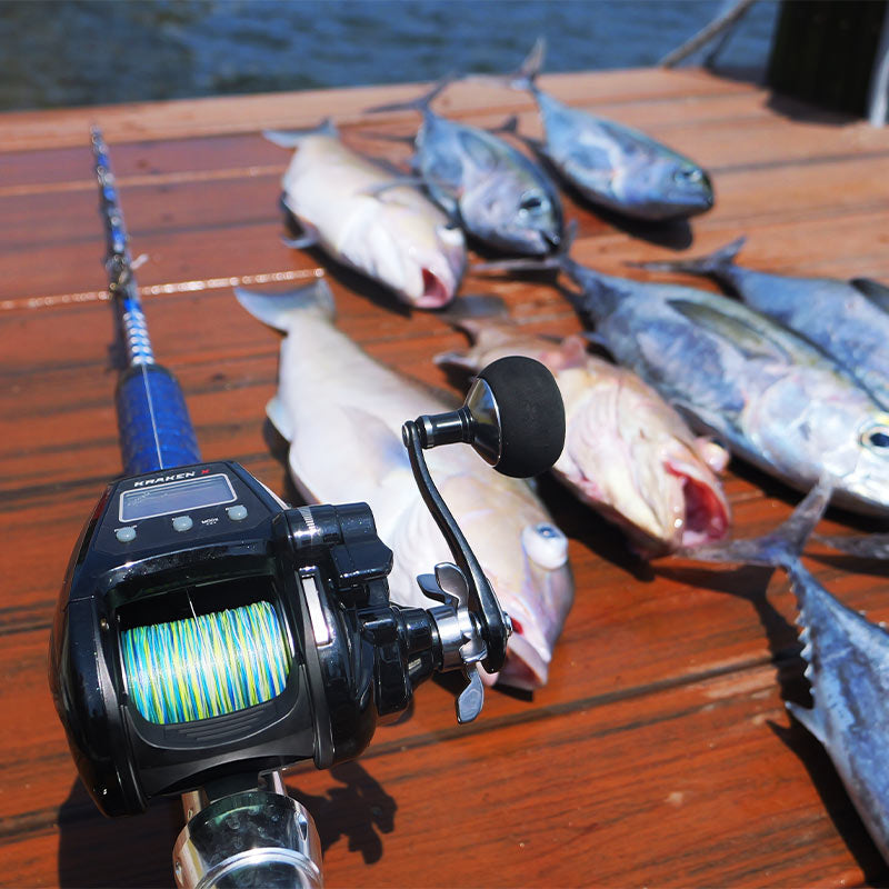 Piscifun Kraken Electric Big Game Reels Heiko Recommended Fishing Reels