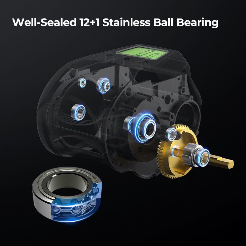 Piscifun Kraken Electric Big Game Reels Heiko Recommended Fishing Reels