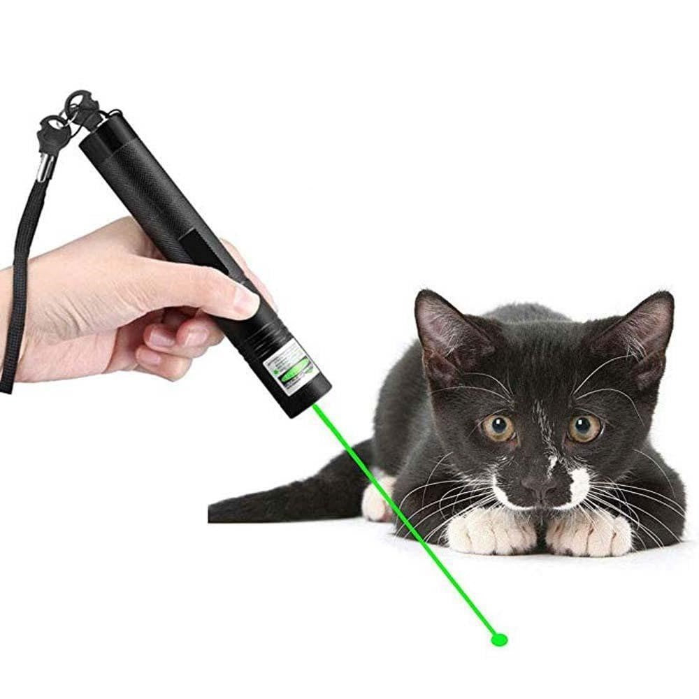 Laser Pointer 303 High Visibility Green Beam For Presenters | Lersk