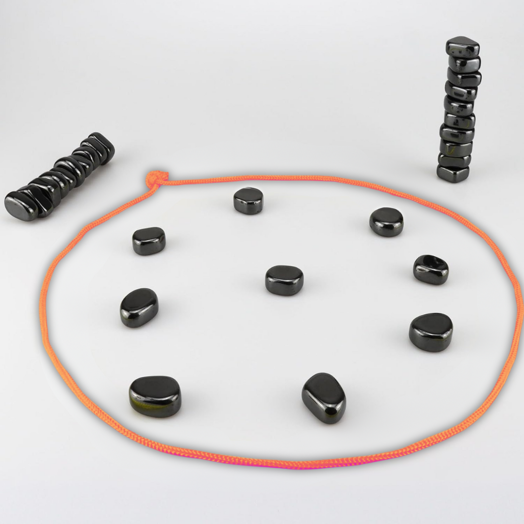 CheckMate magnetická cestovní šachová sada pro chytrou zábavu na cestách, edice Premium | Lersk