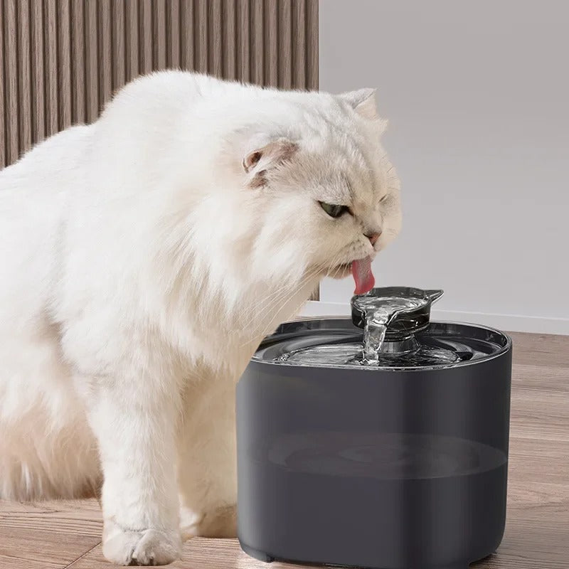 NovaFlow Cat Fountain With Wireless Flow And Multi Stage Filtration | Lersk