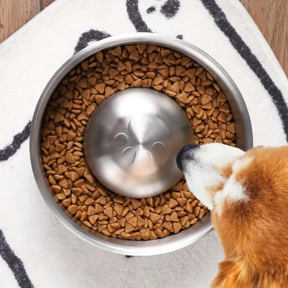 Miska pro pomalé krmení MealPace | Lersk