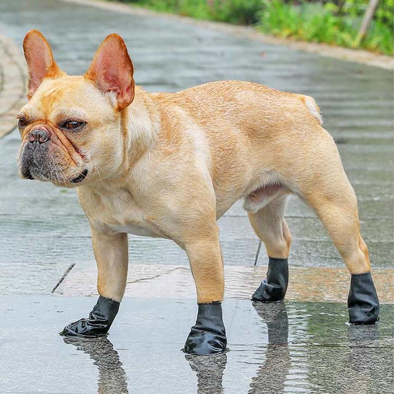 PootShield Waterproof Dog Shoes With Grip And Protective Comfort For Everyday Use | Lersk