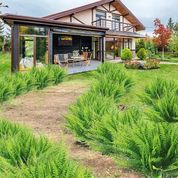 Helecho Boston Artificial Resistente a los Rayos UV para Decoración Exterior, Realista, Impermeable y de Bajo Mantenimiento | Lersk