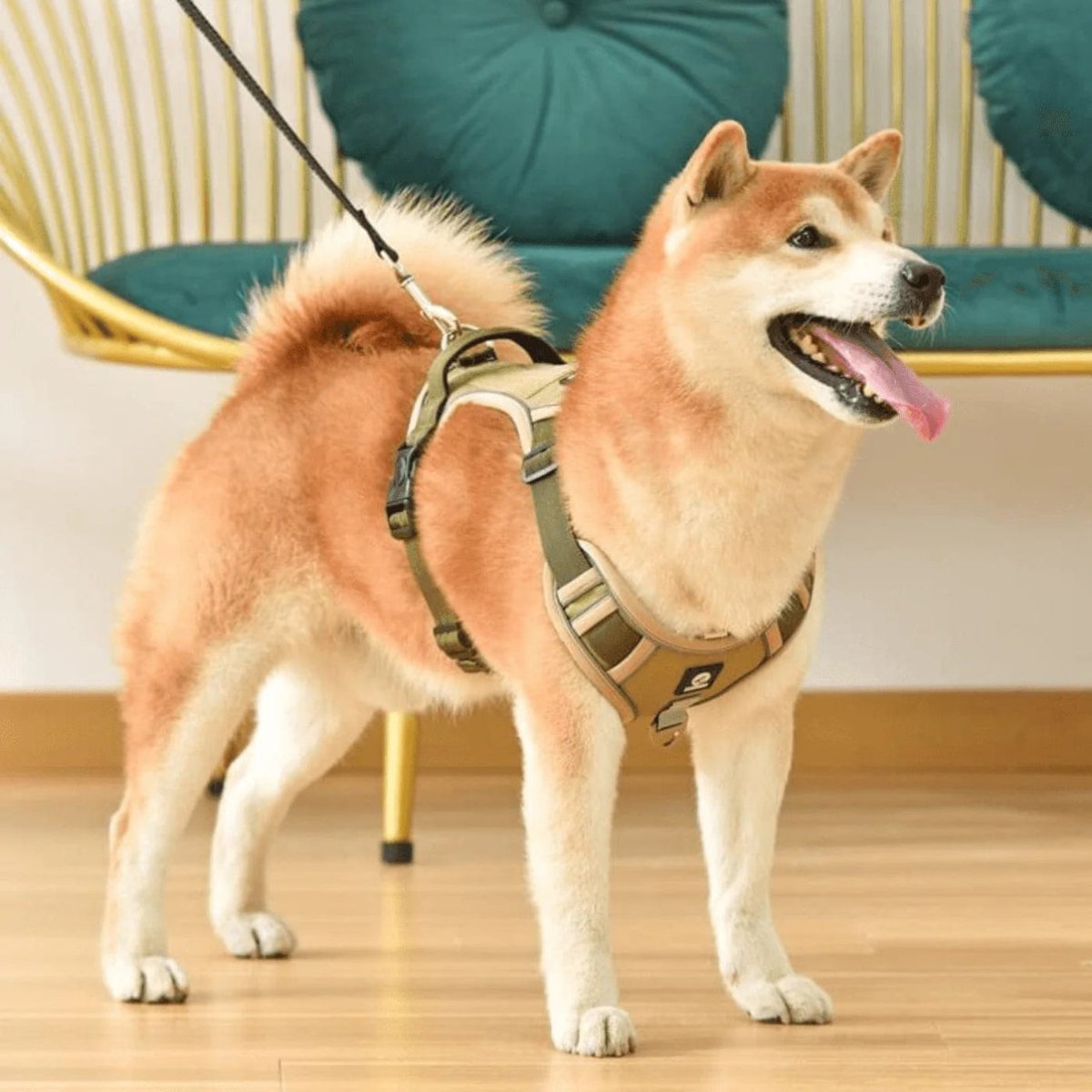 PawsControl الحزام النهائي لمنع سحب الكلاب للمشي والاستخدام اليومي لجميع السلالات | Lersk