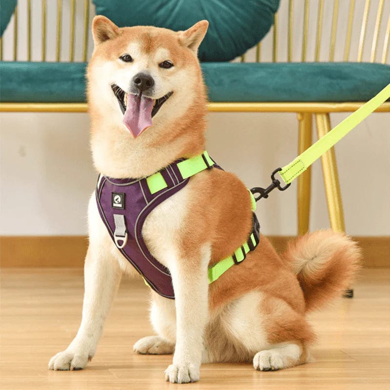 PawsControl الحزام النهائي لمنع سحب الكلاب للمشي والاستخدام اليومي لجميع السلالات | Lersk