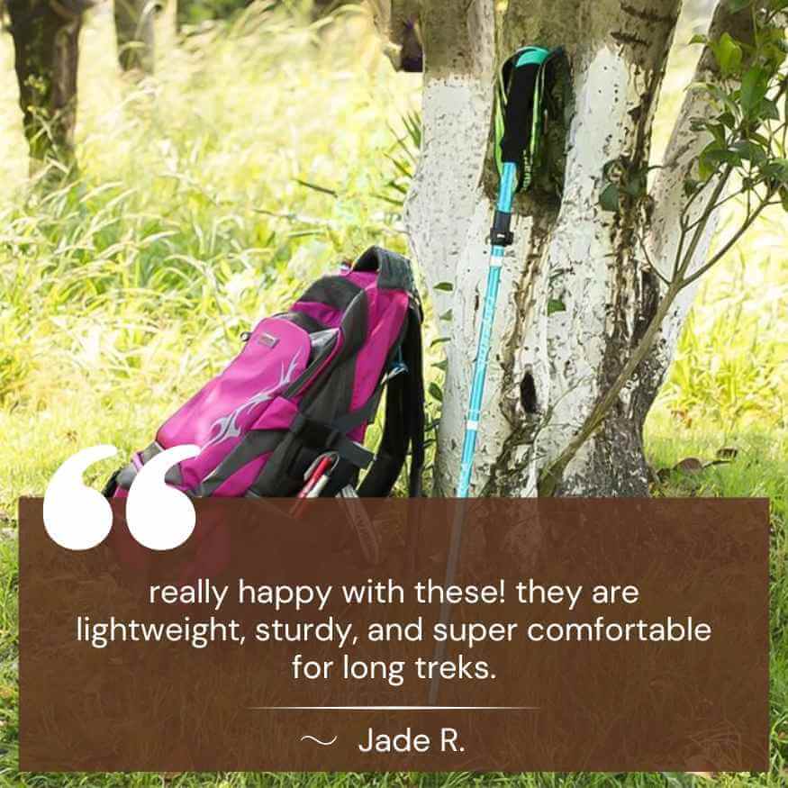 TrailEase Ultra Light Ergonomic Adjustable Trekking Poles | Lersk