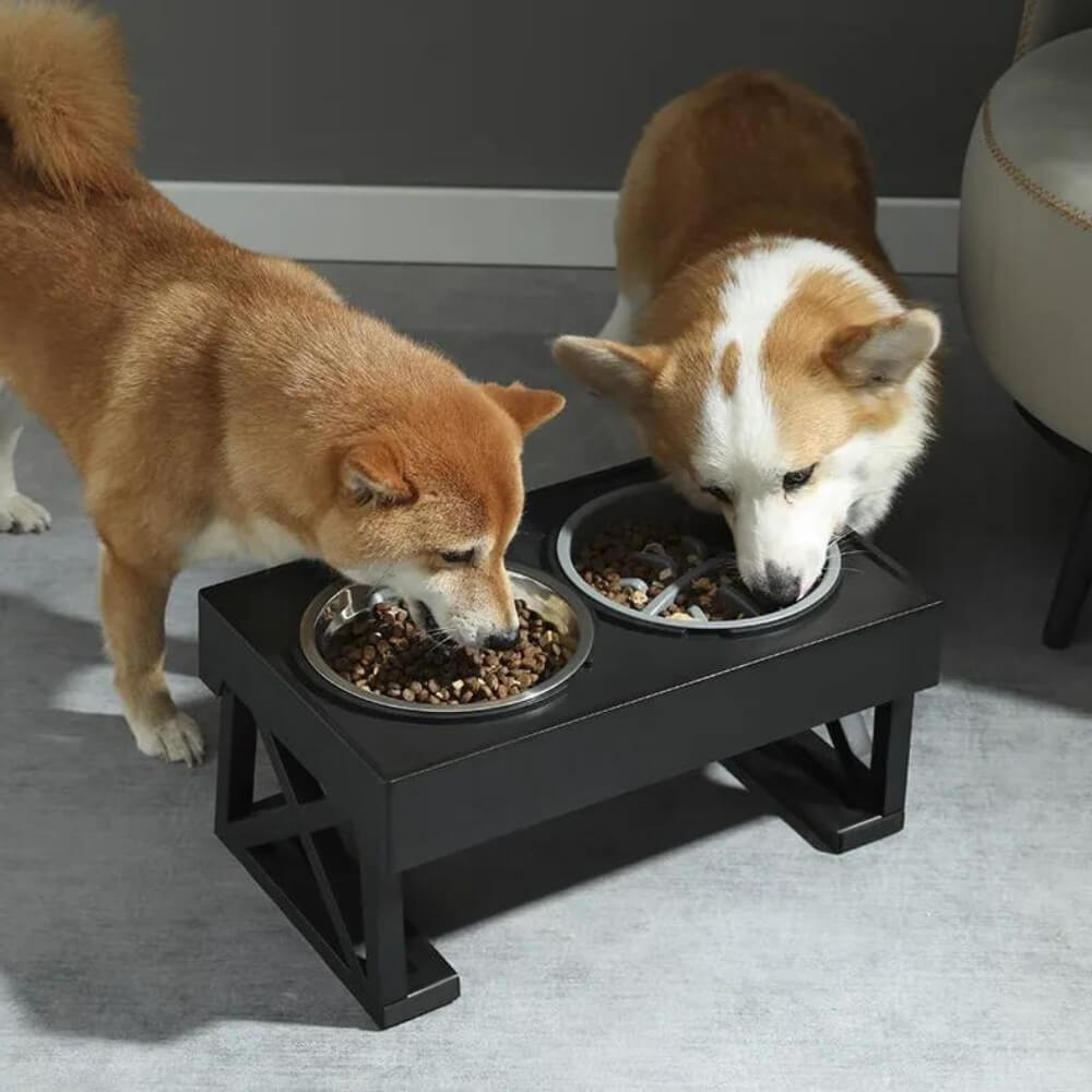 PupLift Der erhöhte Hundenapf und erhöhte Futterschale für Haustiere und Hunde | Lersk