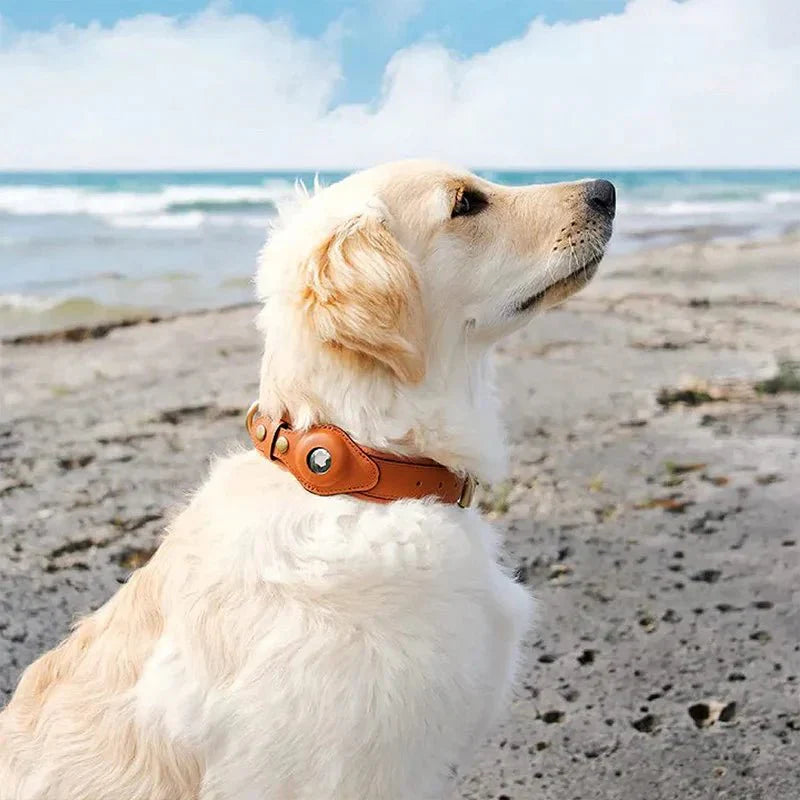 SafeTrack Premium AirTag Dog Collar For Pets With Find My App And Android Tracker Detector | Lersk