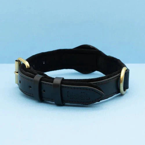 SafeTrack Premium AirTag Dog Collar For Pets With Find My App And Android Tracker Detector | Lersk