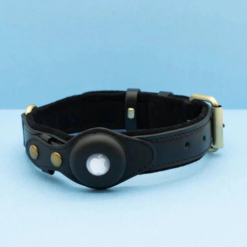 SafeTrack Premium AirTag Dog Collar For Pets With Find My App And Android Tracker Detector | Lersk