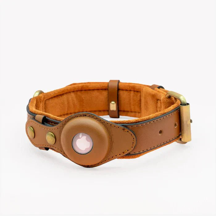 SafeTrack Premium AirTag Dog Collar For Pets With Find My App And Android Tracker Detector | Lersk
