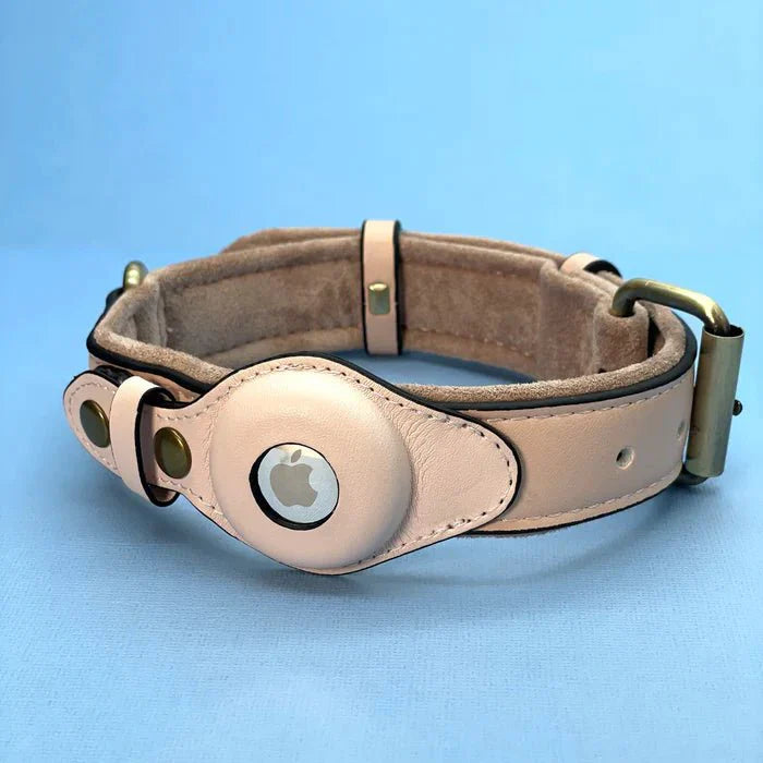 SafeTrack Premium AirTag Dog Collar For Pets With Find My App And Android Tracker Detector | Lersk