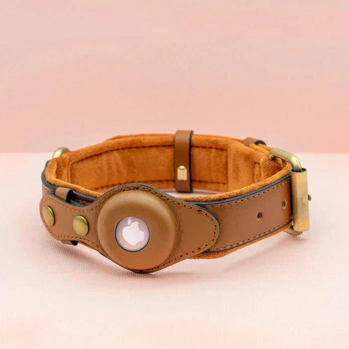SafeTrack Premium AirTag Dog Collar For Pets With Find My App And Android Tracker Detector | Lersk
